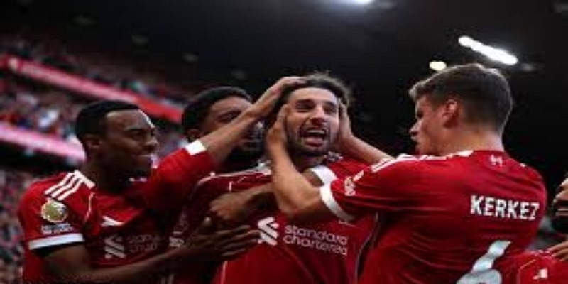 历史数据对比分析- 球速体育